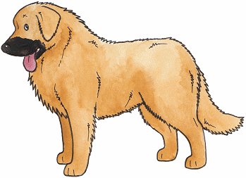 Генетика окрасов собак - маска собак. Локус Е